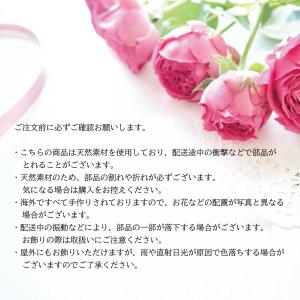 クリスマスリース 北欧風 北欧 玄関 ナチュラ...の詳細画像2