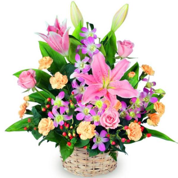 秋の叙勲・表彰・受章のお祝いに フラワーアレンジメントの贈り物 511254 花キューピット 生花 ...