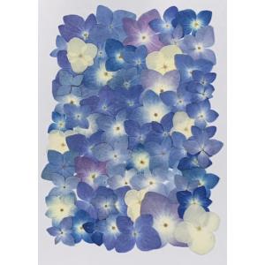 押し花 レジン あじさいの商品一覧 通販 Yahoo ショッピング
