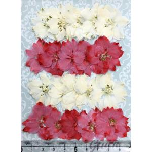 【追跡可能便でお届け】コンパクト 押し花 千鳥...の詳細画像1