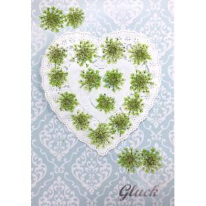 コンパクト 押し花 ハートフルレースフラワー（着色ライムグリーン）18枚をパックにしてお届け！