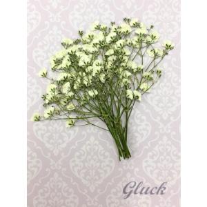 コンパクト 押し花 カスミソウ（アイボリー） 少量をパックにしてお届け！