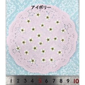 【追跡可能便でお届け】コンパクト 押し花 こで...の詳細画像1