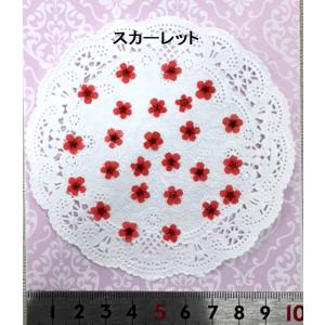 【追跡可能便でお届け】コンパクト 押し花 こで...の詳細画像2