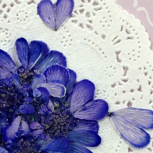 【追跡可能便でお届け】コンパクト 押し花 オル...の詳細画像2