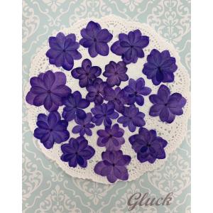 押し花 レジン あじさいの商品一覧 通販 Yahoo ショッピング