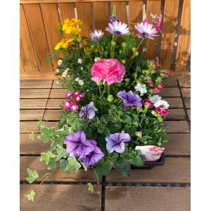 はなはなぐりゅっけ - Yahoo!ショッピング