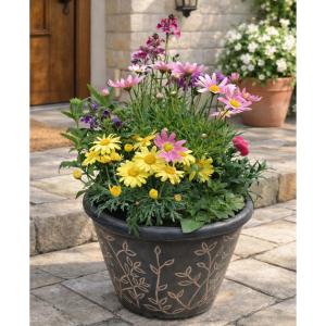 はなはなぐりゅっけ - Yahoo!ショッピング