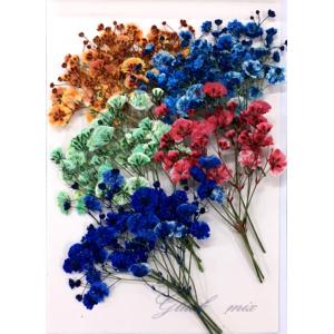 カラフルかすみ草の商品一覧 通販 Yahoo ショッピング