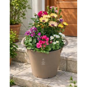 寄せ植え 春の寄せ植え 春の花 ギフト 送料込 でこの価格 手付き