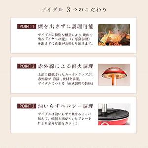 ザイグル プラス JAPAN-ZAIGLE P...の詳細画像2