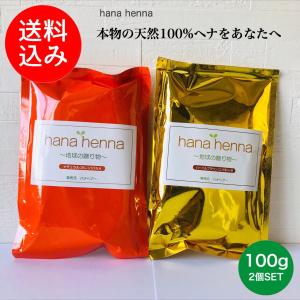 【メール便送料無料】hana hennaハナヘナ ナチュラル＆ハーバルブラウンSET 100g×2 ヘナ白髪染め 天然100%ヘナ ＊イヤーキャップ、手袋付き