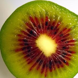 キウイ花粉の商品一覧 通販 Yahoo ショッピング