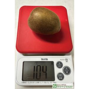 キウイ 苗木 【メス 東京ゴールド [登録品種...の詳細画像2