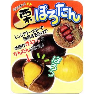 ■優良2年生大苗■ 栗 苗木 【ぽろたん [登録...の商品画像