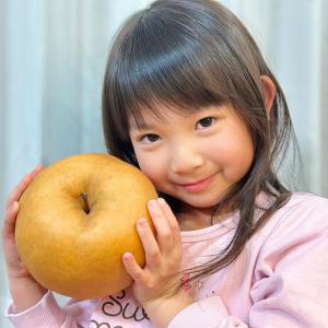 ■優良2年生大苗■ 梨 苗木 【 ジャンボ愛宕...の詳細画像1