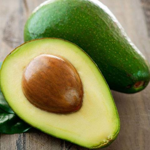 アボカド 苗 【ハス】 接ぎ木苗