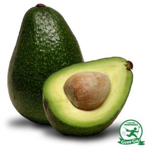 メキシコーラグランデ】 接木苗 アボカド ※通常発送※ [めきしこーら