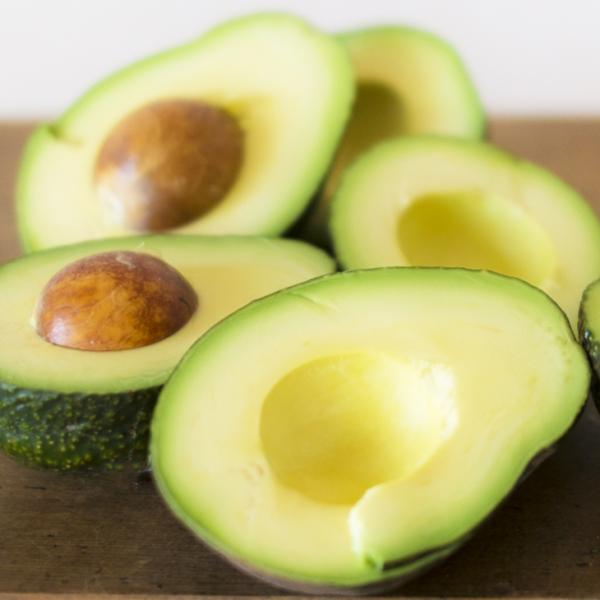 アボカド 苗 【カハルー】 接ぎ木苗