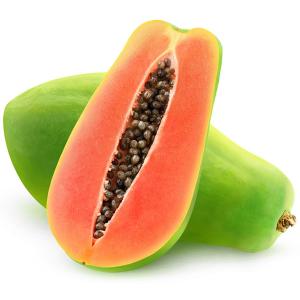 パパイヤ 苗 【天煌（てんこう）】 ポット苗