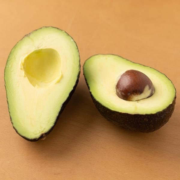 アボカド 苗 【スチュワート】 2年生 接ぎ木苗