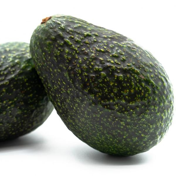 アボカド 苗 【グリーンゴールド】 2年生 接ぎ木苗 （A）