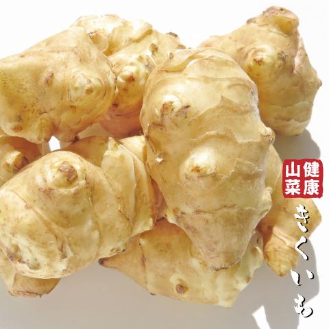 キクイモ 苗 【山菜 きくいも】 4号ポット苗