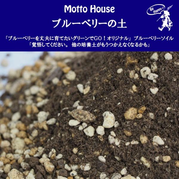オリジナル 培養土 【ブルーベリーの土】 14リットル入り