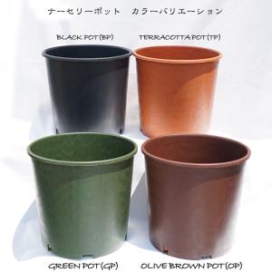 10号角深鉢】ロサオリエンティス コレクターズポット 【プレミアローズ