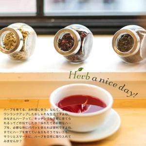 ハーブ 苗 コモンタイム (立性) 3号ポット苗の詳細画像5