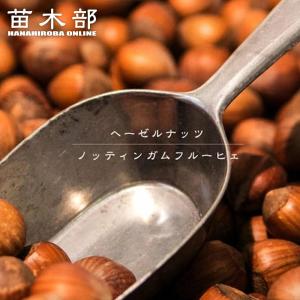 ノッティンガムフルーヒェ ヘーゼルナッツ 1年生...の商品画像