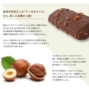 ノッティンガムフルーヒェ ヘーゼルナッツ 1年...の詳細画像1