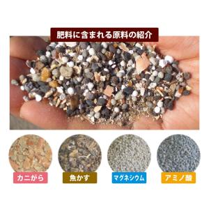 つる性植物の肥料 ぶどうがおいしくなる肥料 (...の詳細画像2