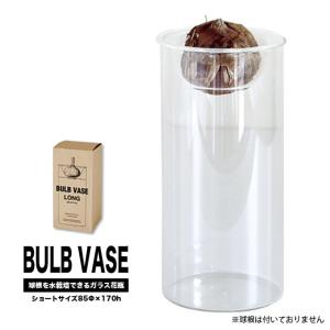 フラワーベース ロング BULB VASE 器 フラワーベース 鉢 インテリア雑貨 ガラス製鉢｜hanahirobaonline
