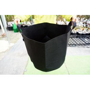 根域制限ガーデンバッグ (直径50cm×深さ40cm)の商品画像