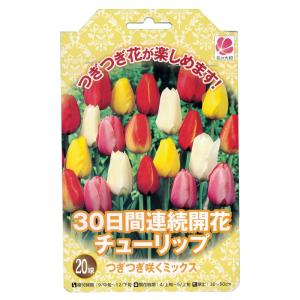 チューリップ 球根 つぎつぎ咲くミックス・30日間連続開花 （20球入り）（植え付け時期12月下旬まで） 予約販売10月下旬頃入荷予定