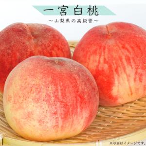 桃の苗木 ジャンボピーチ（極大実桃）：果樹苗 : 日本花卉ガーデン