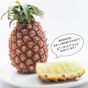 パインアップル ソフトタッチ (ピーチパイン)...の詳細画像1