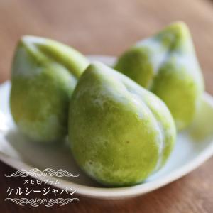 すもも(プラム)苗木 ハリウッド（紅葉すもも） : 植物・園芸専門店 花