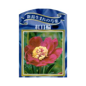 芍薬 鉢植えの商品一覧 通販 Yahoo ショッピング