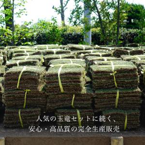 芝生 姫高麗芝 2束セット (2平米分) 生産...の詳細画像2