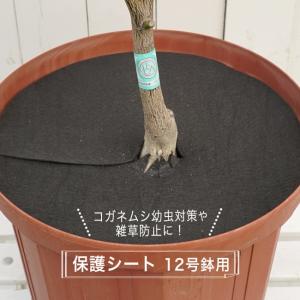 コガネムシの幼虫予防カバー 12号用 (直径39cm） 雑草・ネキリムシの防止不織布  ネコポス対応可能