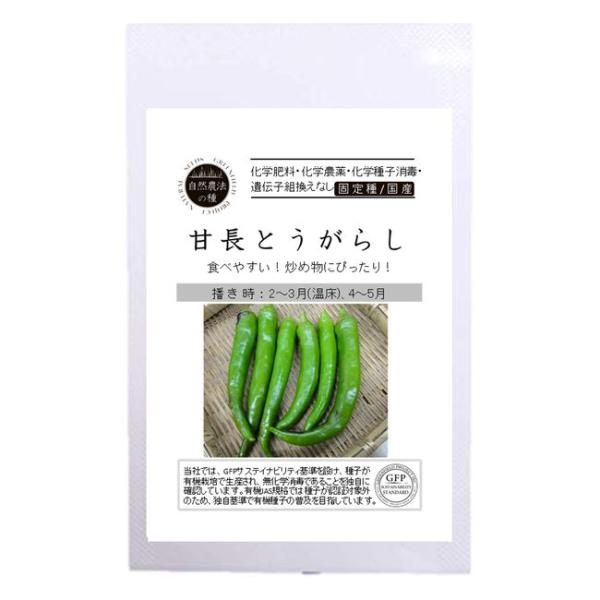 有機種子 甘長とうがらし S 12粒 種蒔時期 2〜3月（温床）4〜5月
