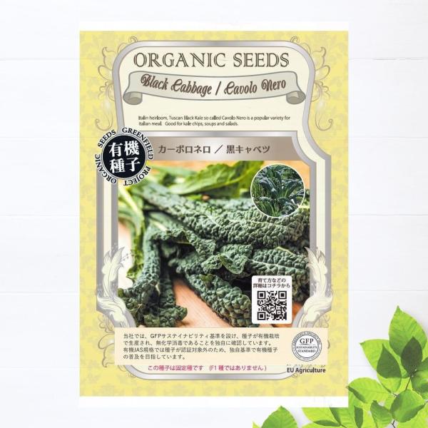 有機種子 黒キャベツ/カーボロネロ Sサイズ 180粒 種蒔時期 2〜3月、6〜8月、冷地：4〜6月