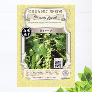 有機種子 芽キャベツ Sサイズ 100粒 種蒔時期 暖地：7〜8月、冷地：4〜5月｜hanahirobaonline