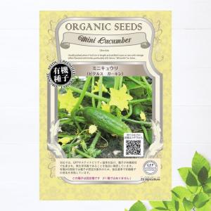 有機種子 シャロット 種 (ベルギーエシャロット、コンサーバー) S