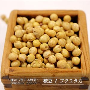 有機種子 枝豆/大豆/フクユタカ Sサイズ 70粒 種蒔時期 6〜7月