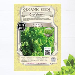 有機種子 サラダ菜/リーフレタス(バターヘッドレタス) Sサイズ 30粒