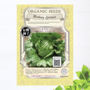 有機種子 サラダ菜/リーフレタス(バターヘッドレタス) Sサイズ 30粒