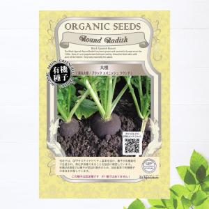 有機種子 シャロット 種 (ベルギーエシャロット、コンサーバー) S